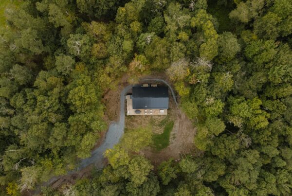 house in a forest